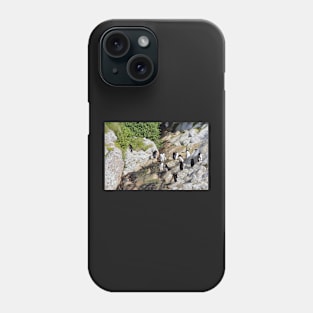 Snares Crested Penguins Phone Case