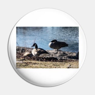 Geese in Winter Pin