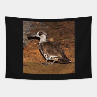 Pink Eared Duck - by South Australian artist Avril Thomas at Magpie Springs Tapestry