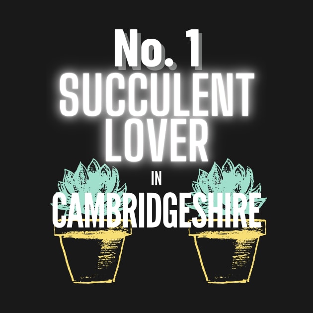 The No.1 Succulent Lover In Cambridgeshire by The Bralton Company