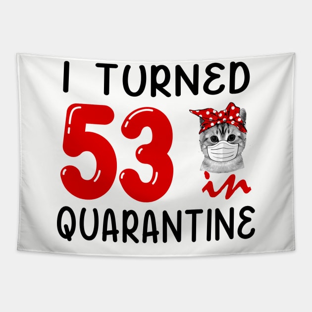 I Turned 53 In Quarantine Funny Cat Facemask Tapestry by David Darry