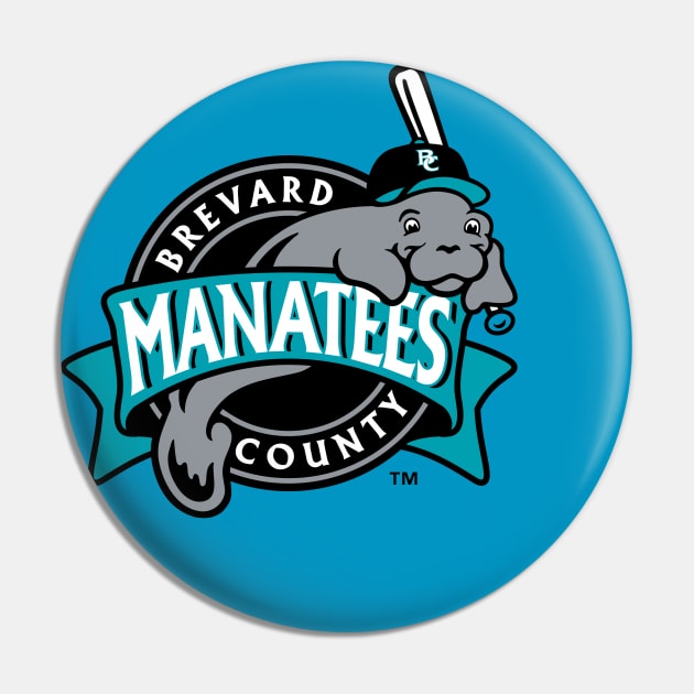 Pin on MiLB Mascots: Class A-Advanced