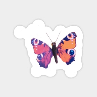 Butterfly 2 Magnet