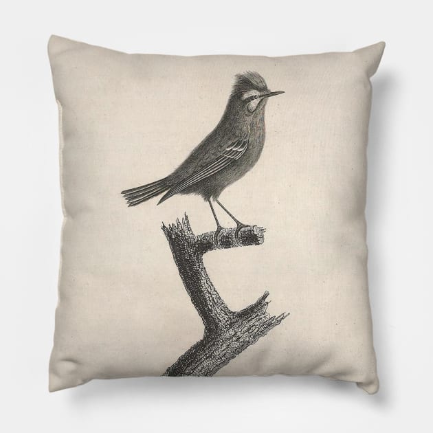 The crested kinglet Pillow by ptMaker