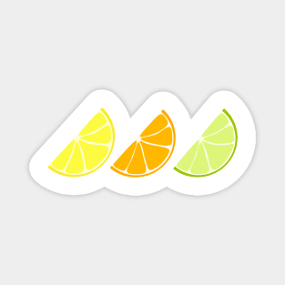 Citrus Wedges (white background) Magnet