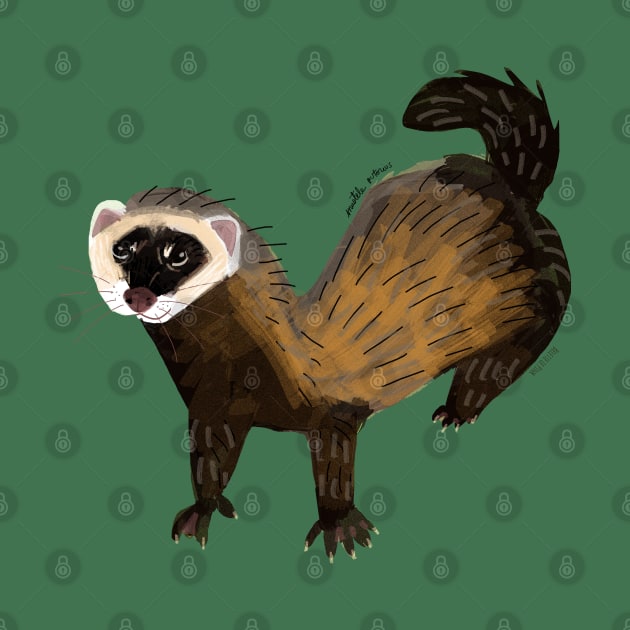 Brave Polecat ( Mustela putorius ) by belettelepink