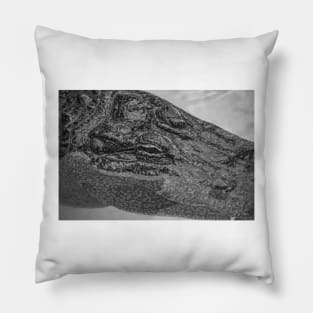 Relaxing Alligator black and white 2 Pillow