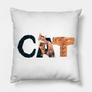 cats cat lover Pillow