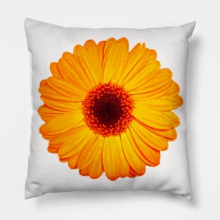 Cheerful Yellow Gerbera Daisy Pillow