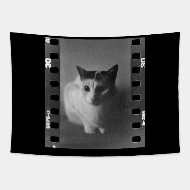 Analog Cat Tapestry by s.elaaboudi@gmail.com