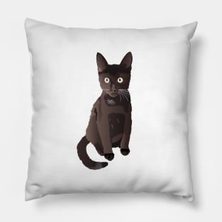 Dark Brown Cat Pillow