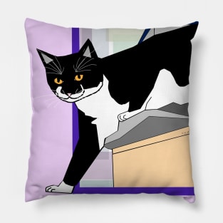 Cute Tuxedo Cat up high. Stepping outside the box Copyright by TeAnne Pillow