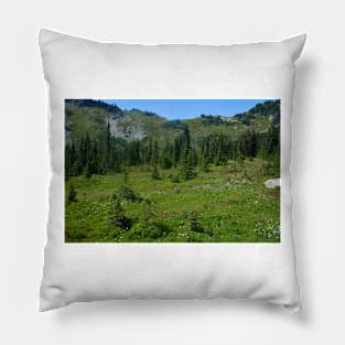 850_4593 Pillow