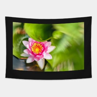 Red Waterlily Tapestry