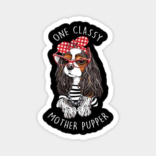 Tricolor Cavalier King Charles Spaniel Dog One Classy Magnet