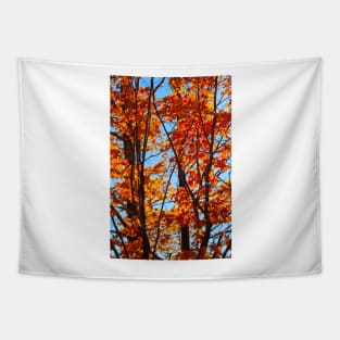 Vermont Red Maples Tapestry