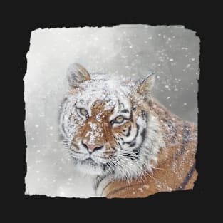 Winter Tiger Portrait T-Shirt