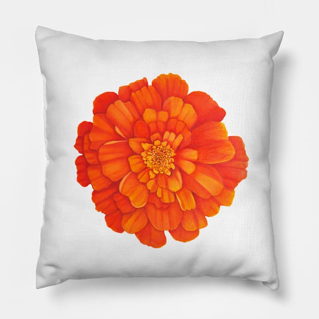 French Marigold Pillow by veroniqueayac