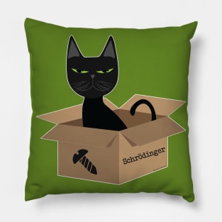 Screw Schrödinger Pillow