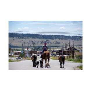 Woman Riding Horse With 3 Dogs and 2 Horses T-Shirt