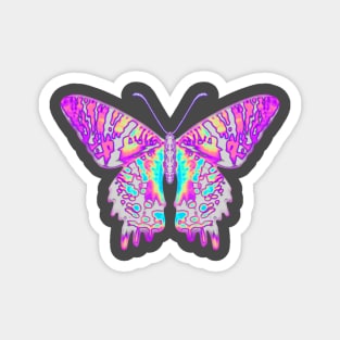 Power of Perspective Imbued Sunset Moth Magnet