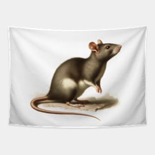 Vintage Biology Lithograph of Rat Tapestry