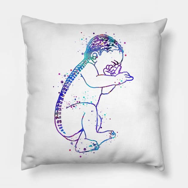 Anatomical Baby Watercolor Pillow by LotusGifts