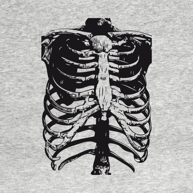 Skeleton Ribs | Skeletons | Anatomy | Bones | Rib Cage ...