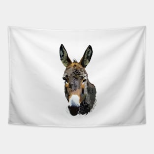 Donkey Tapestry