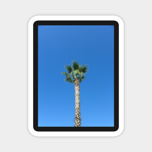 Single Palm Tree with Blue Sky Magnet by Sandraartist