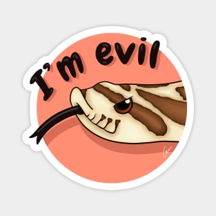 Cute Normal Western Hognose Snake, "I'm evil" Magnet
