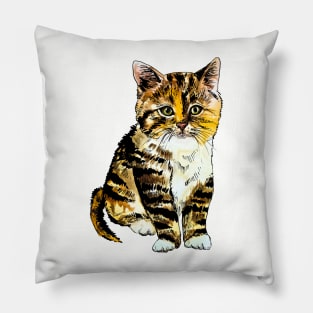 striped kitten Pillow