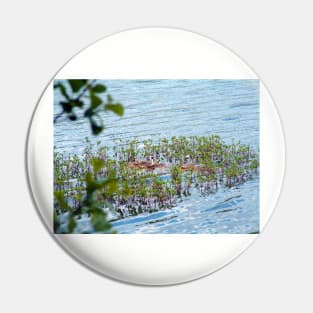 Grebe Pin