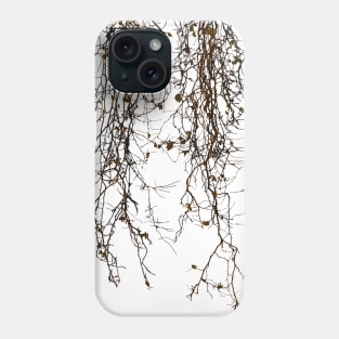 Marple tree in winter Phone Case