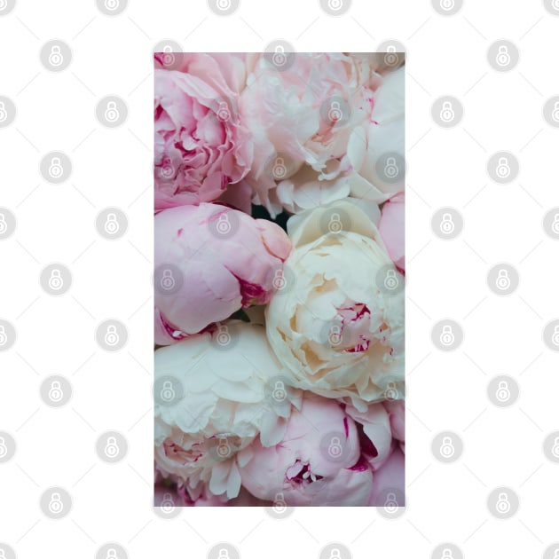 Pink and White Peonies by Tingsy