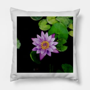 lotus flower Pillow