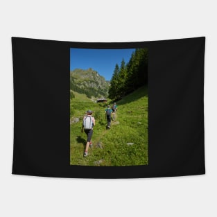 Group of hikers on a mountain trail Tapestry