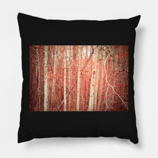 Autumn Birch Trees Pillow