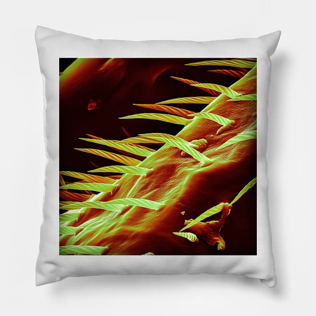 The Bees Knees - SEM of Bee Leg Pillow by DiatomsATTACK