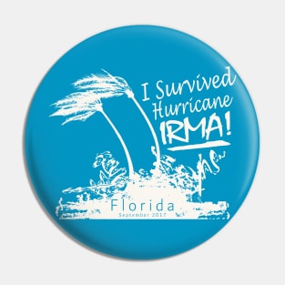 I survived Hurricane Irma Pin