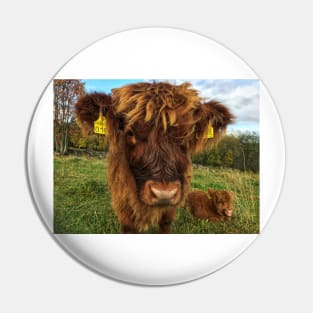 Scottish Highland Cattle Calf 1566 Pin