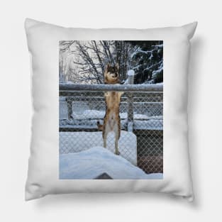 Lapland Pillow