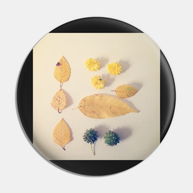 Yellow Autumn Leaves Pin by oliviastclaire