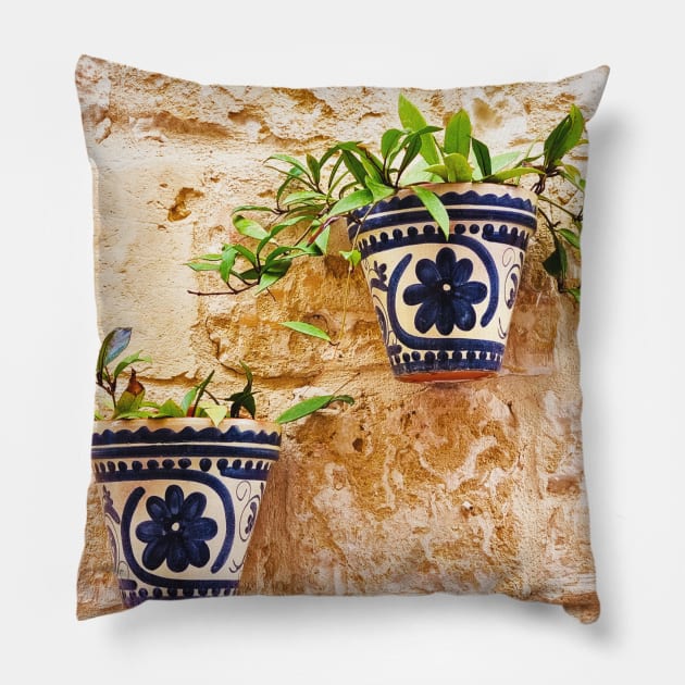 Wall Hanging Planters Pillow by Kate-P-