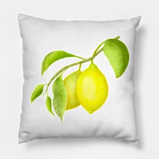 Two lemons Pillow