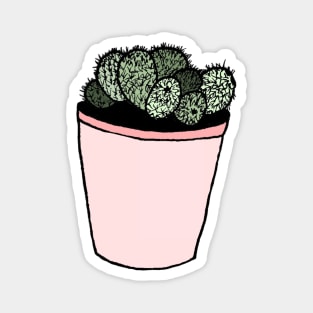 Little Succulent in a Pink Pot Magnet