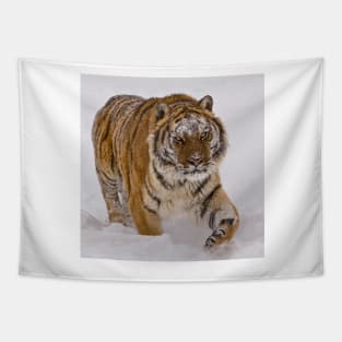 Siberian Tiger in Snow Tapestry