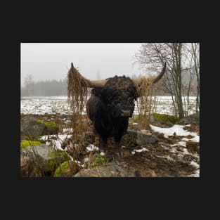 Highland Cattle Bull with big horns T-Shirt