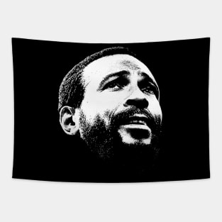 GAYE SOUL KING Tapestry