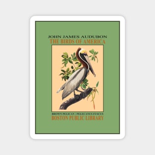 Audubon Pelican Exhibition Print Magnet